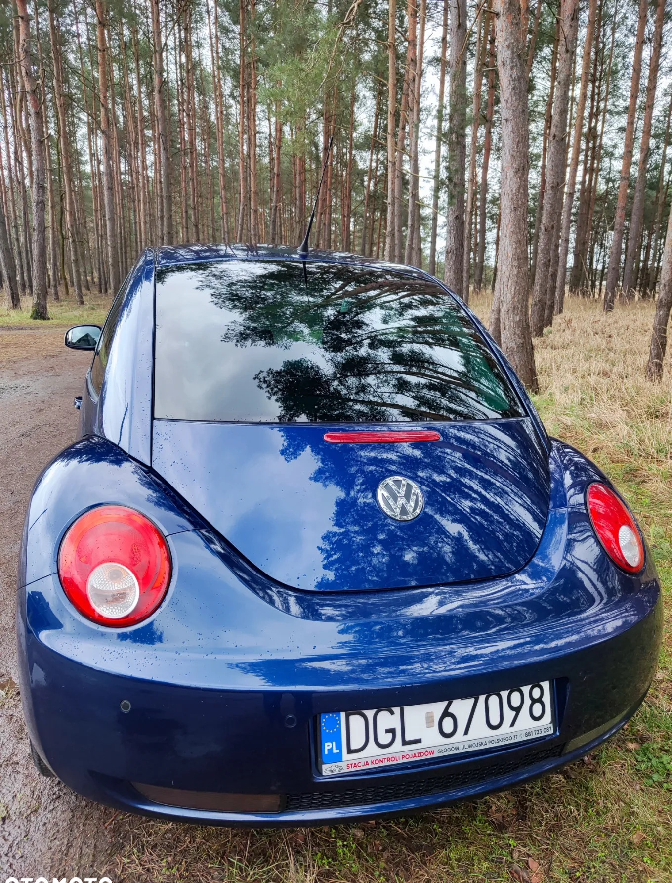 Volkswagen New Beetle cena 15900 przebieg: 253200, rok produkcji 2010 z Głogów małe 79